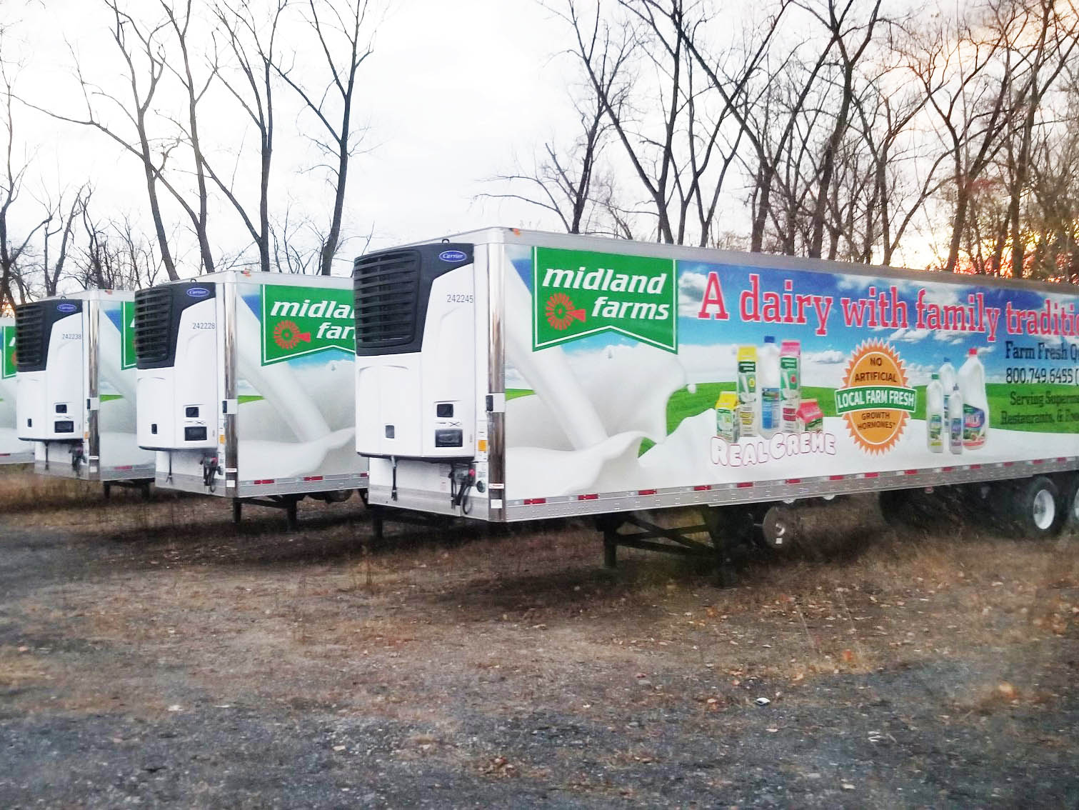 Large fleet of trailer wraps. Printed and laminated cast vinyl wraps installed by All Signs & Graphics Inc. Design is for Midland Farms dairy products.